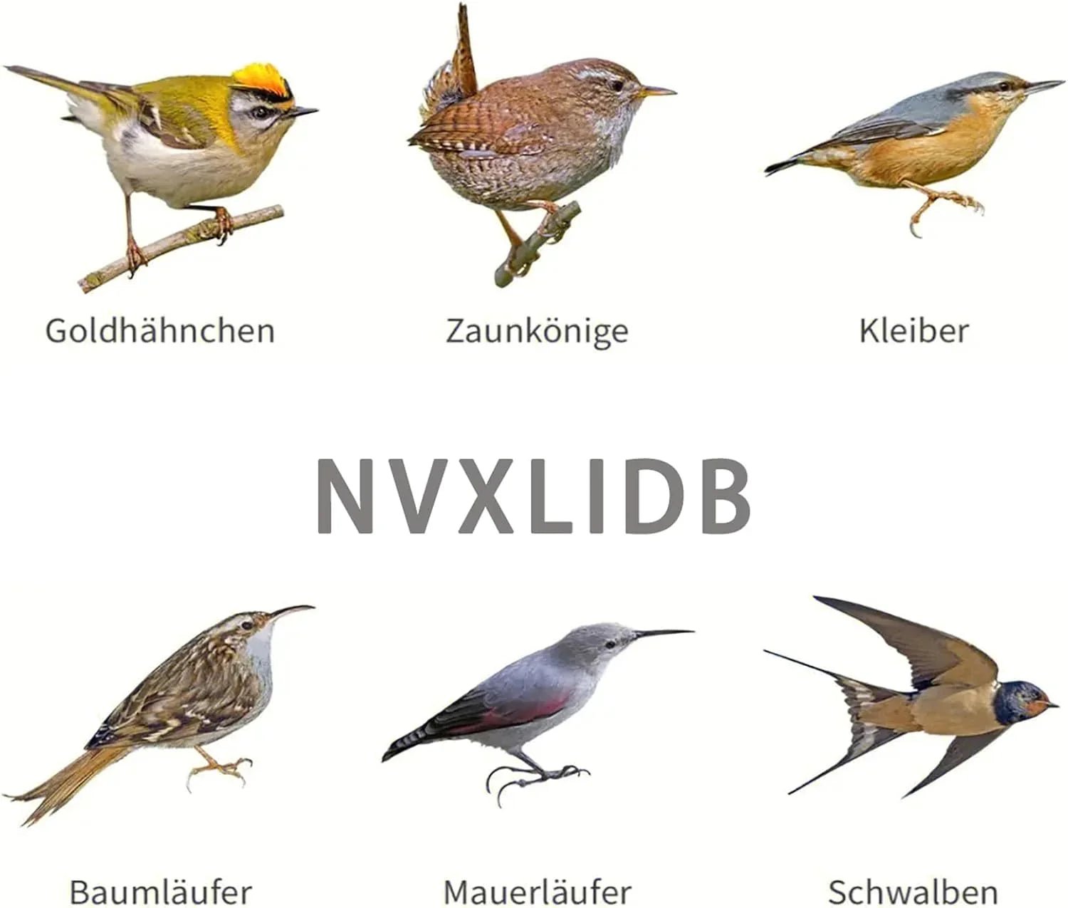 12インチ キツツキ忌避スティック 10セット 装飾スイベル抑止コントロール - パティオプールから鳥を遠ざける 反射ストリップは装飾として家で吊るします(10パック) - Yolerhome