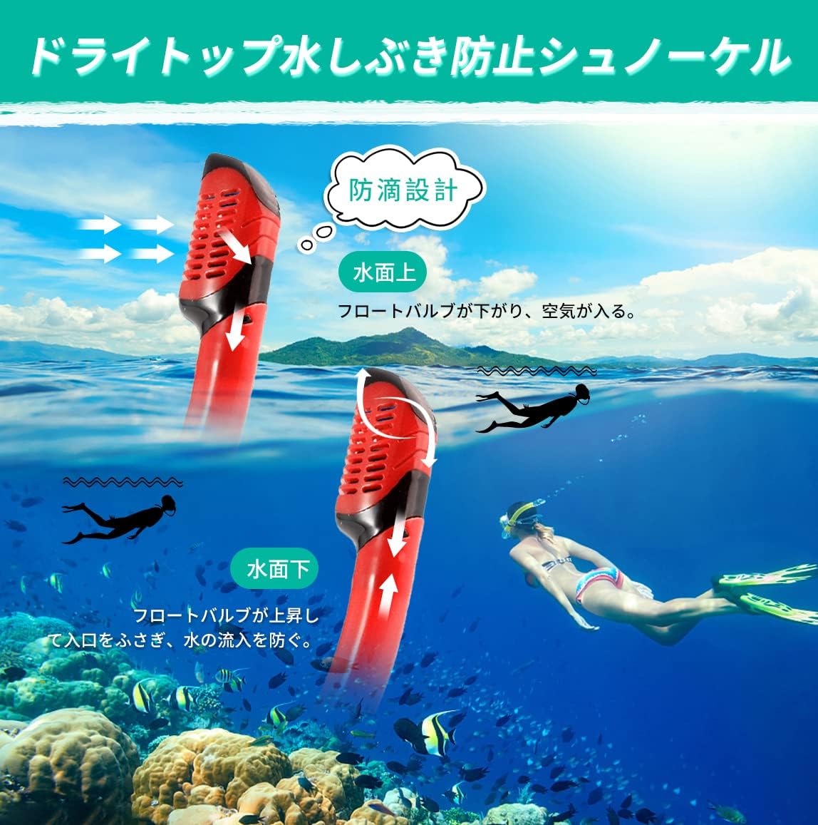 シュノーケリング シュノーケル マスク シュノーケリング セット ドライスノーケル シュノーケリングセット 2点セット 潜水メガネ 潜水眼鏡 呼吸用パイプ スノーケル 浸水防止 強化ガラス 耐衝撃 耐圧力 フィット感 着脱簡単 男女兼用 初心者向け 収納バッグ付 【曇り止めクロス付き】 - Yolerhome