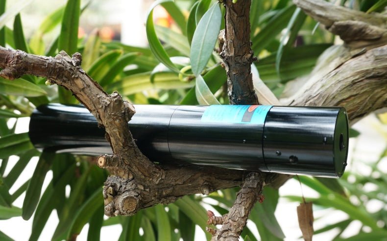 市場最安価2000mWブルーレーザーポインター 超強力レーザー懐中電灯 防水設計 USB充電式 長時間連続使用 高輝度青色レーザー 携帯便利 - Yolerhome