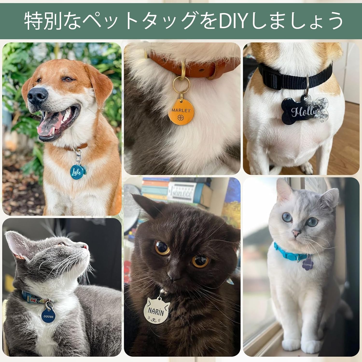 レーザー刻印機 黒いレーザー彫刻機 5000mw DIY道具 高速度 高性能 高安定性 家庭用 軽量 小型 耐久 刻印 彫刻切断機 windows/Mac対応 iOS/Android/USB接続用 アプリ操作 使用寿命連続10,000時間以上 初心者 プレゼント レーザー加工機 レーザークラス2 - Yolerhome