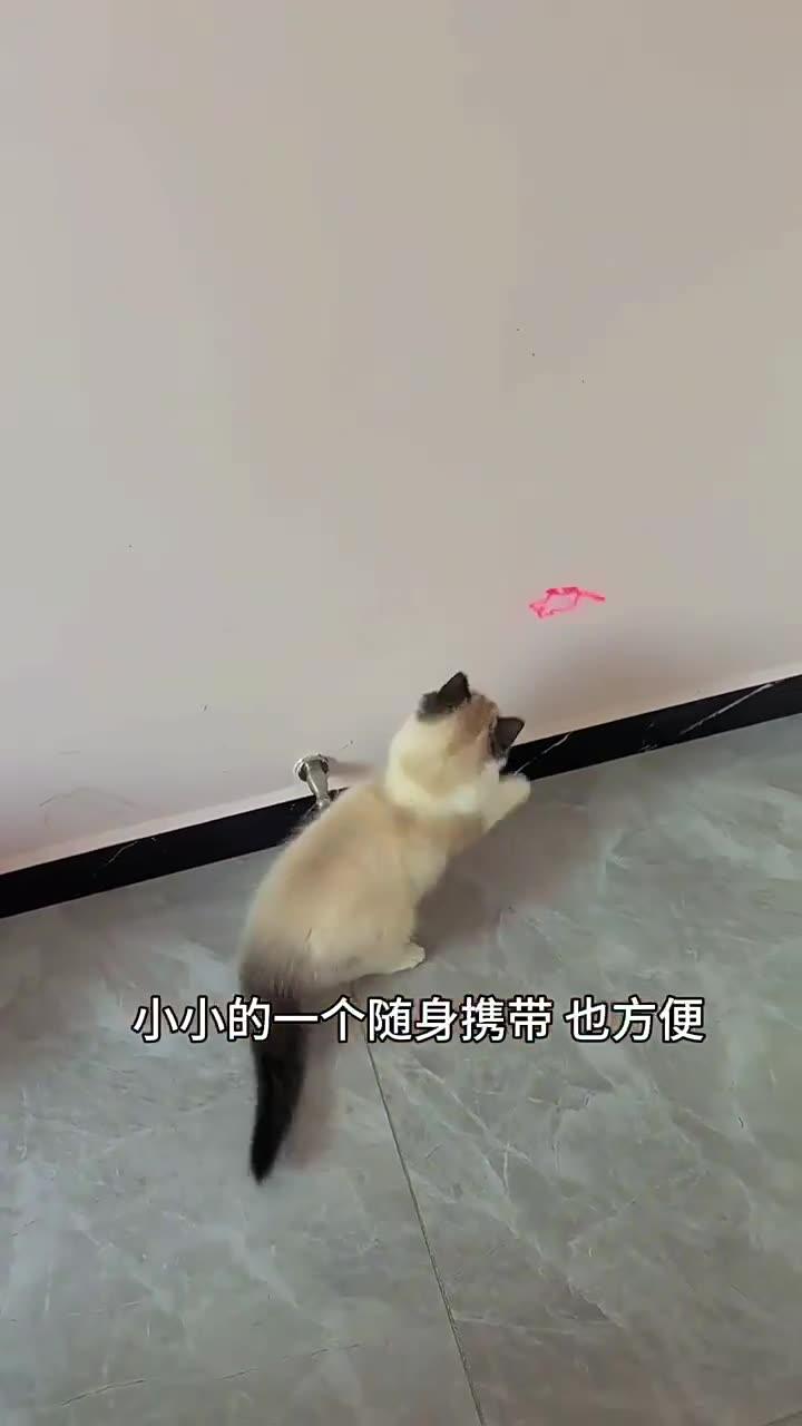 猫 おもちゃ レーザーポインター LEDライト 猫じゃらし ねこ ネコ 玩具 運動不足 ストレス解消 USB充電式 - Yolerhome