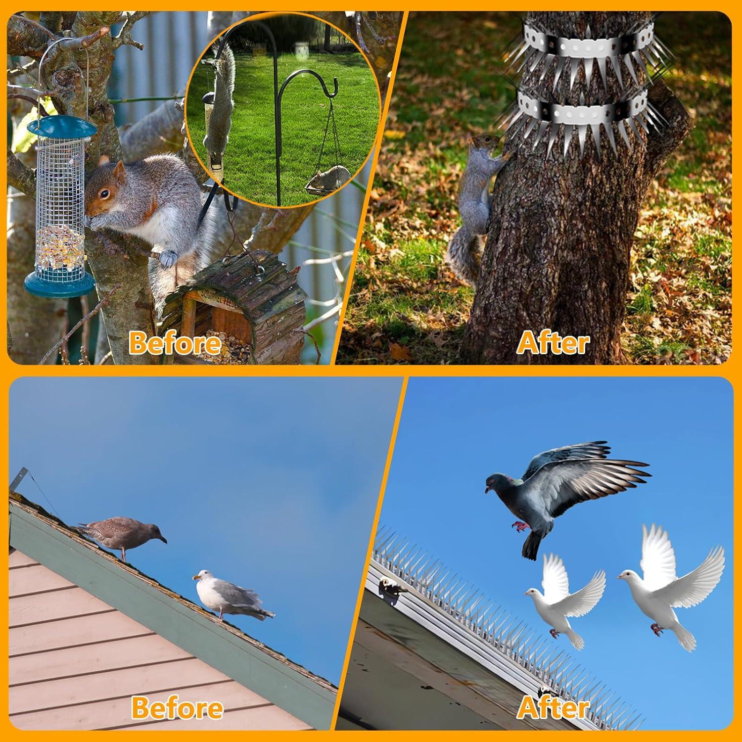 バードスパイク ステンレススチール 屋外 ハトや他の小鳥用 アライグマやリスがフェンスを登るのを効果的に回避 ガーデンフェンスや壁用のハトスパイク 鳥スパイク ハトや小鳥用 屋根の窓辺 フェンス 壁 納屋に最適 - Yolerhome