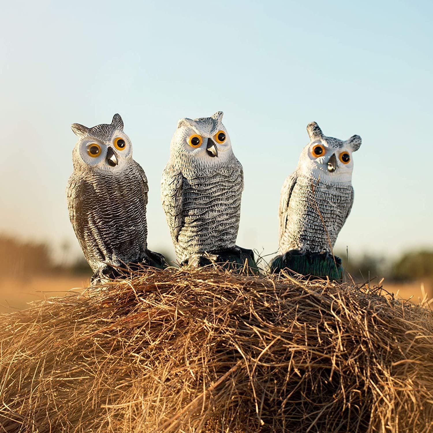 首振りフクロウ，驚異的目玉で威嚇!本物そっくりでどんな，鳥もびっくり!【防鳥防獣対策】撃退ハト、スズメ、カラス、ムクドリ、ヒヨドリなど鳩よけ，鳥よけ鳩対策鳥対策撃退 - Yolerhome