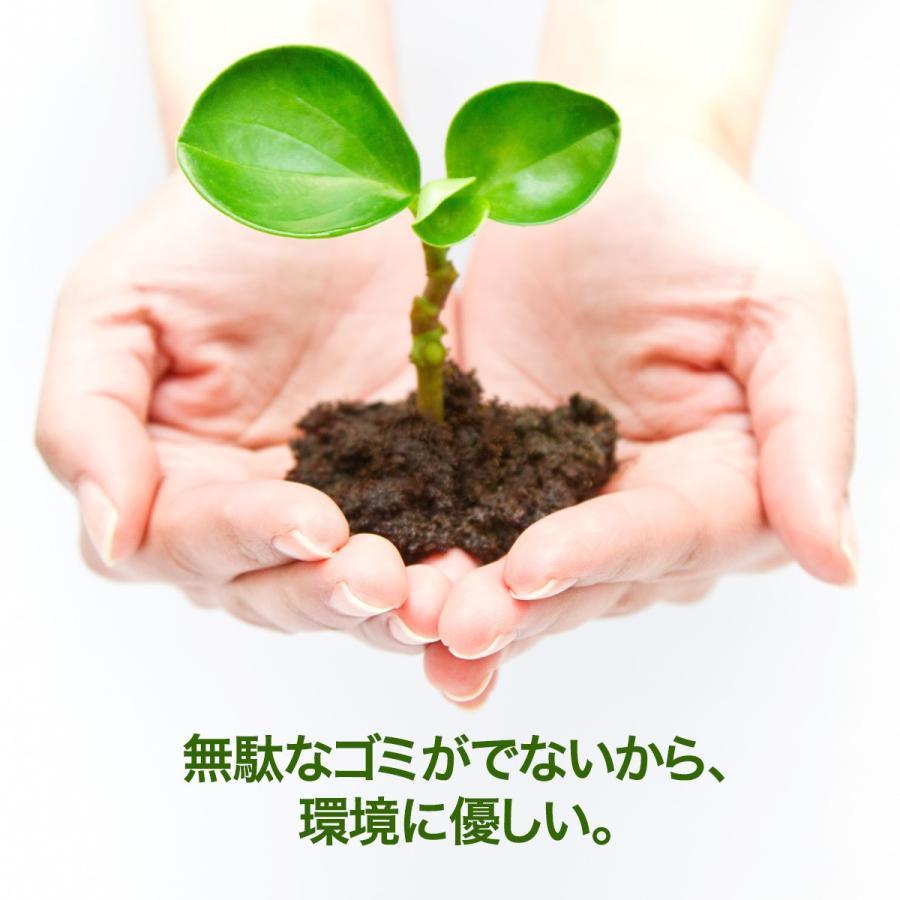 レーザーポインター Slim 電池がいらない USB 充電式 レーザーポインタ マウス パワポ リモコン mac プレゼン 明るい - Yolerhome