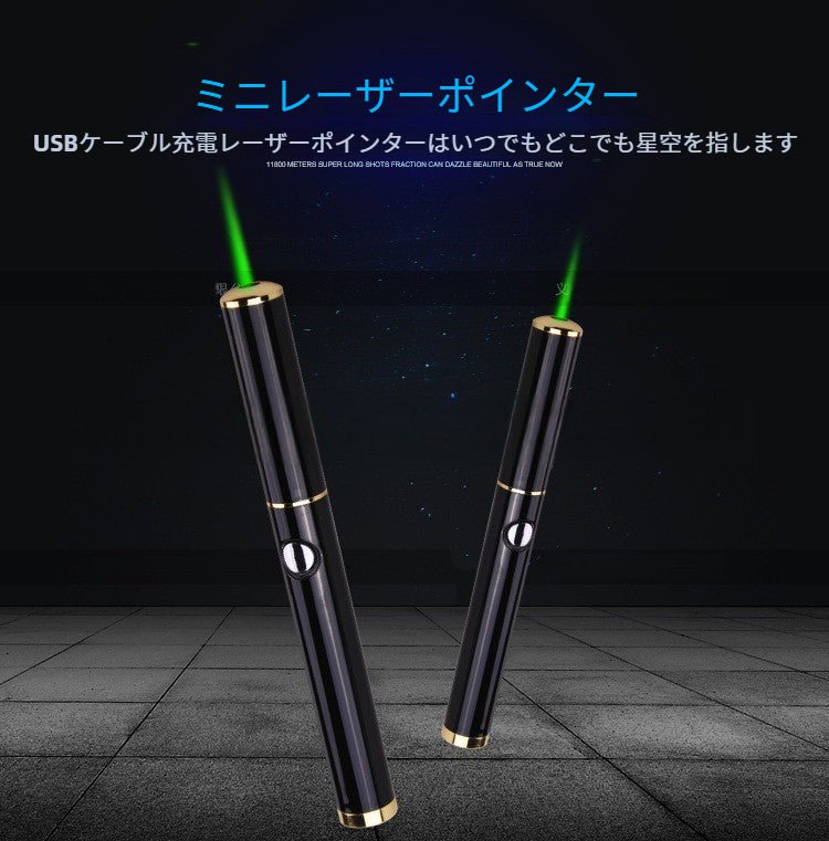 USB充電レーザーポインター グリーンレーザー 30mW 高出力 ペンタイプ 指示棒 インジケーターポインター プレゼン キャンプ 防災 夜間観測用 - Yolerhome